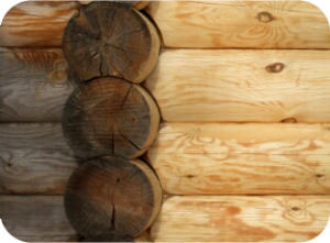 Шлифовка деревянных стен для удаления грибка и грязи